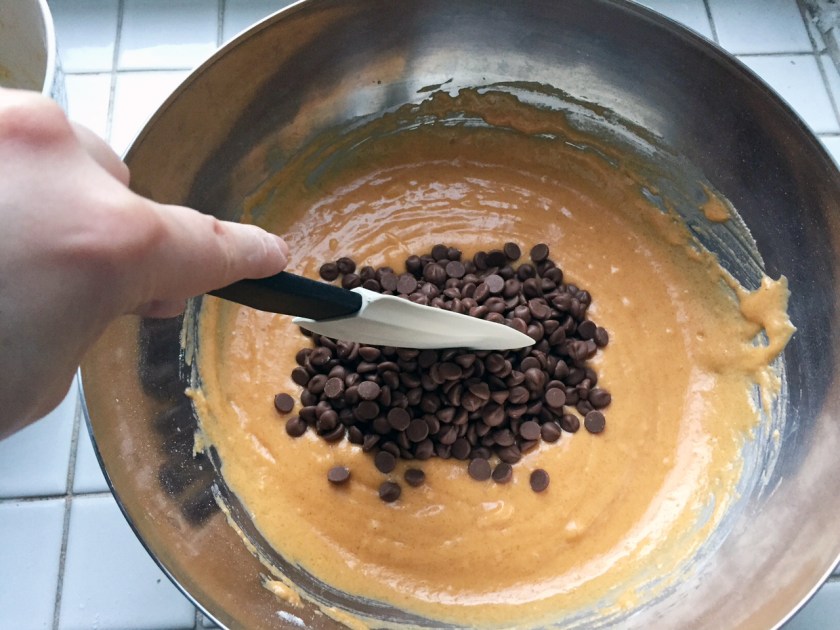 Pumpkin Chocolate Chip Cake - 5b