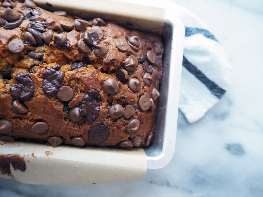 Pumpkin Chocolate Chip Cake - C