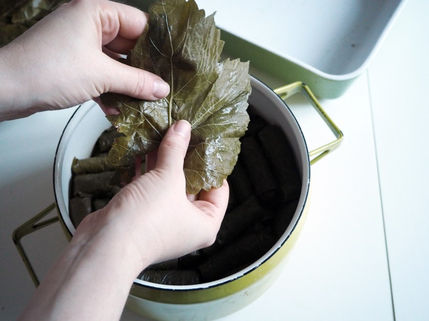 Vine leaf rolls